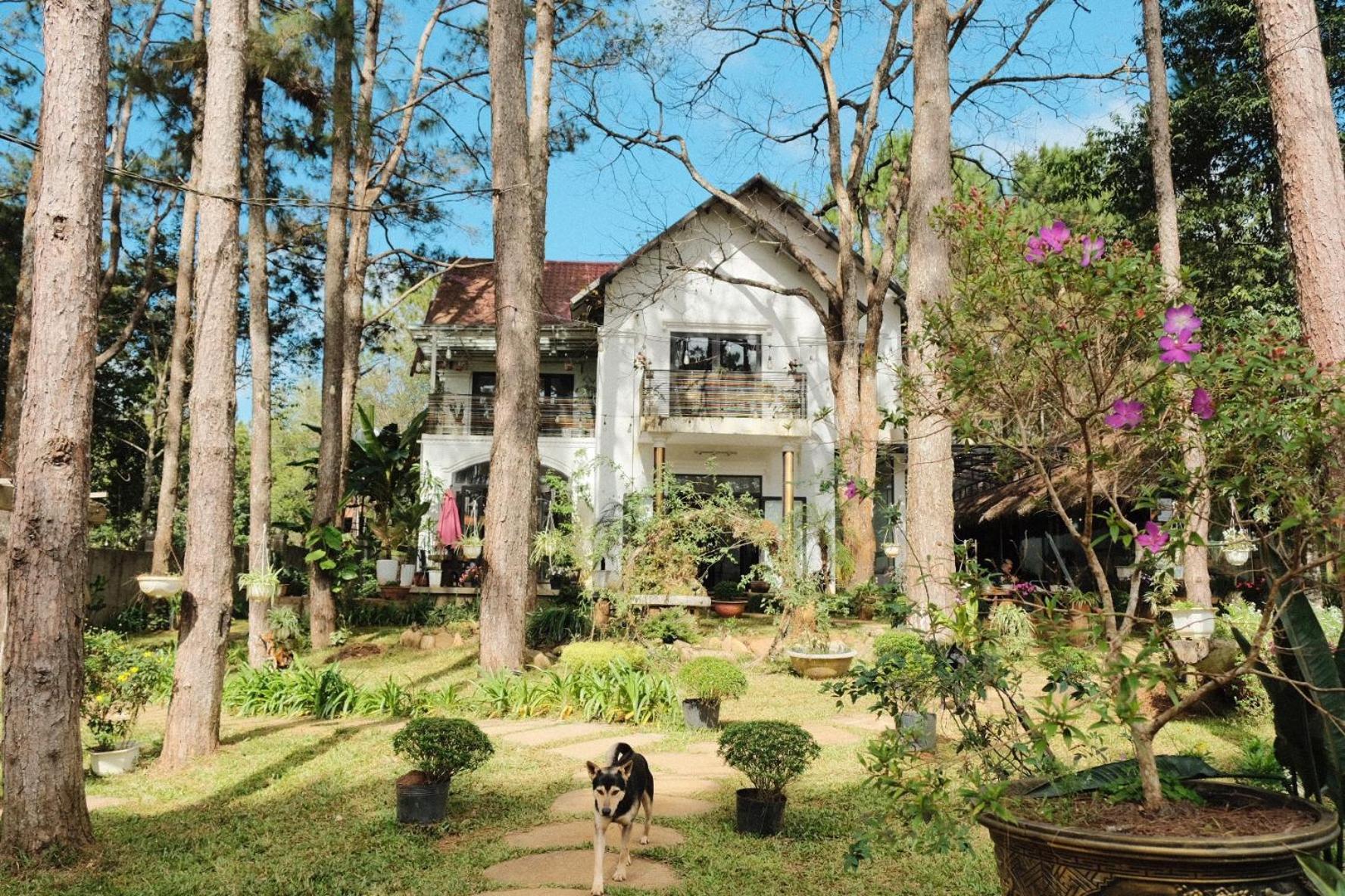 S'Nghe Homestay Mang Den Kon Von Kla Exteriör bild