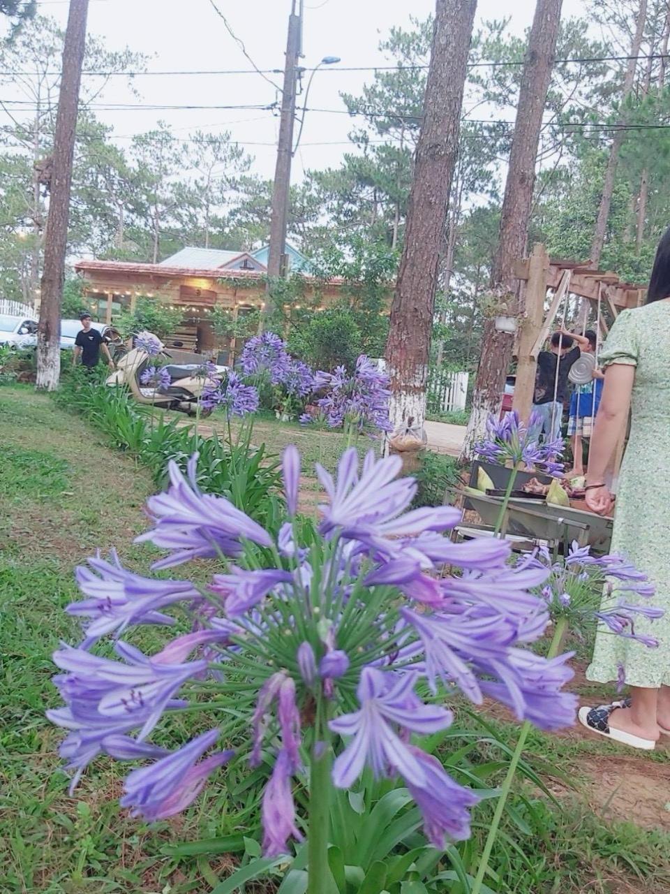 S'Nghe Homestay Mang Den Kon Von Kla Exteriör bild