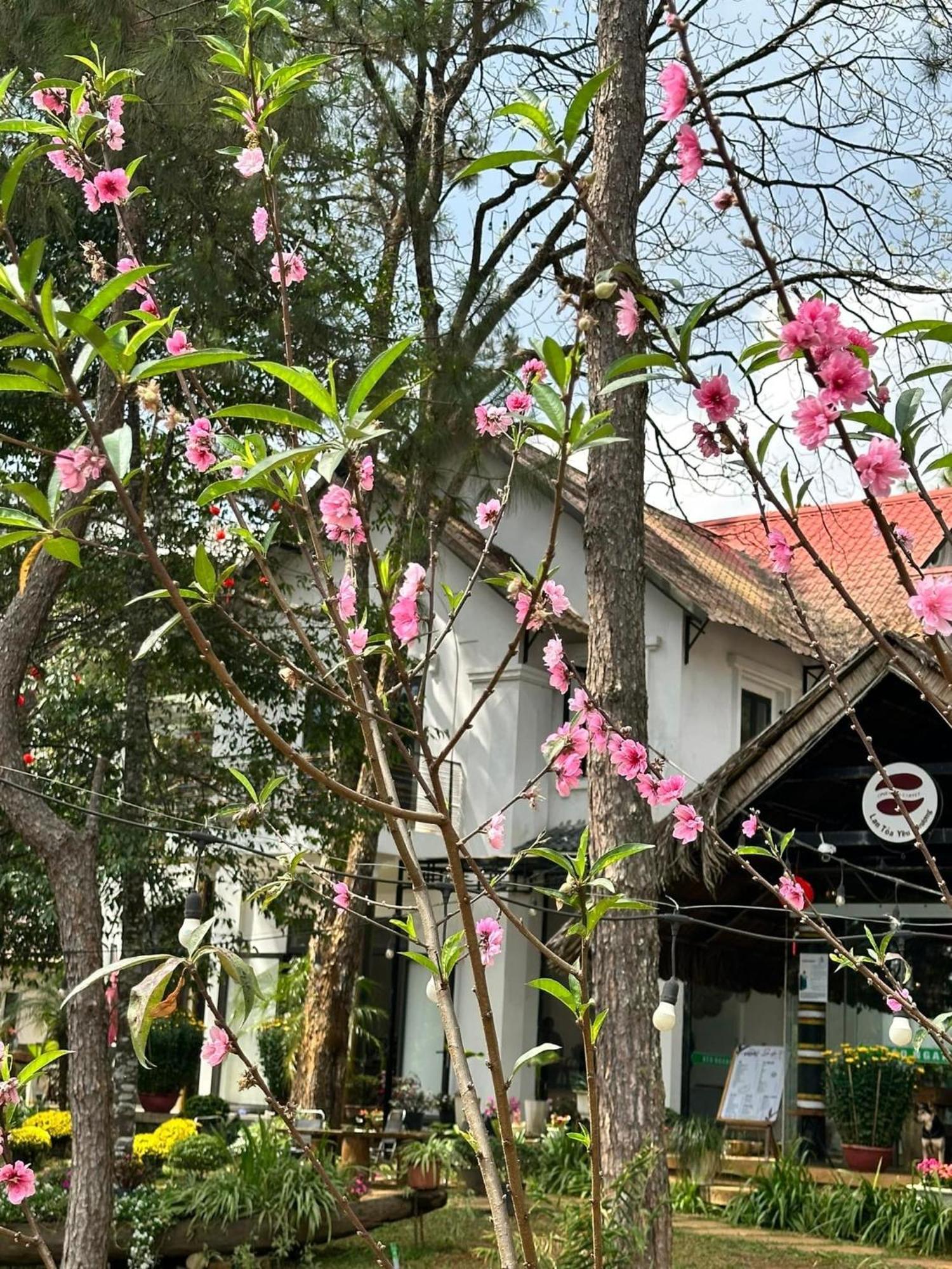 S'Nghe Homestay Mang Den Kon Von Kla Exteriör bild