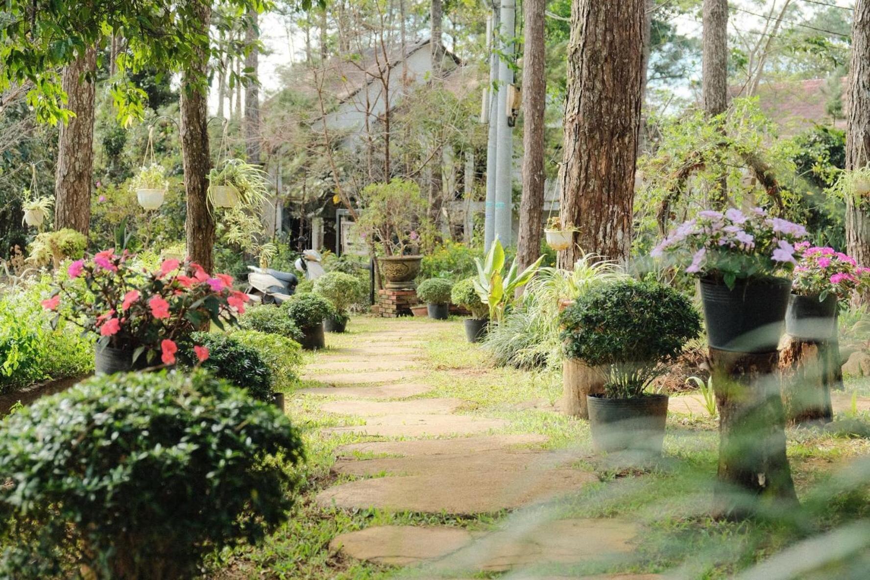 S'Nghe Homestay Mang Den Kon Von Kla Exteriör bild