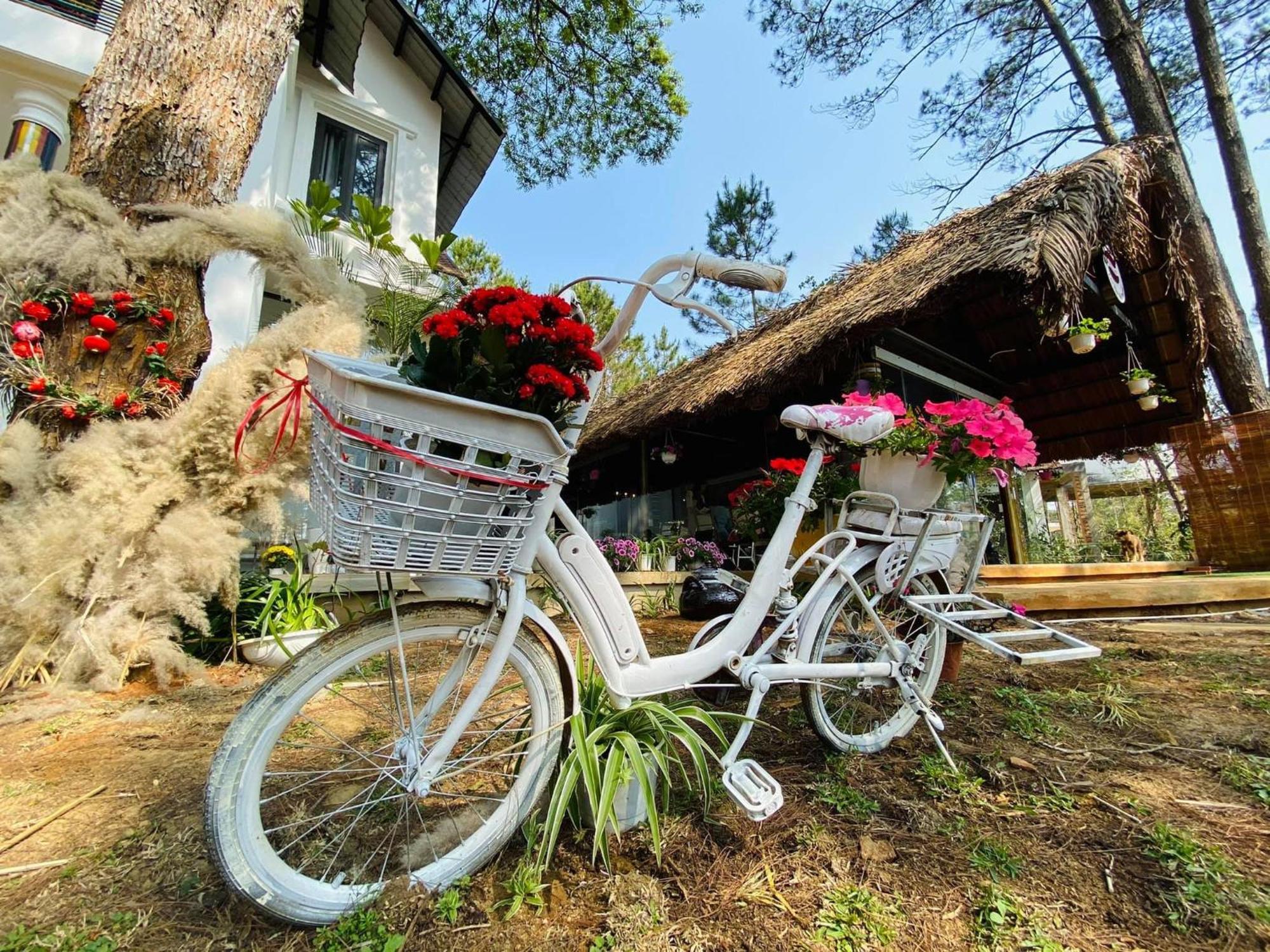 S'Nghe Homestay Mang Den Kon Von Kla Exteriör bild